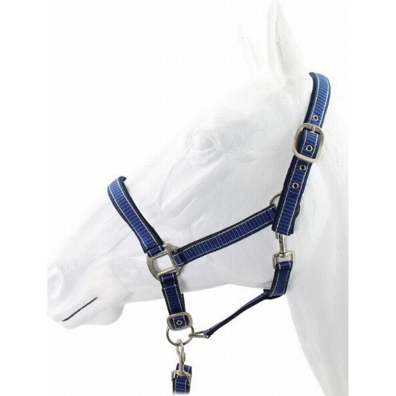Halter zebra design padded with lead cob