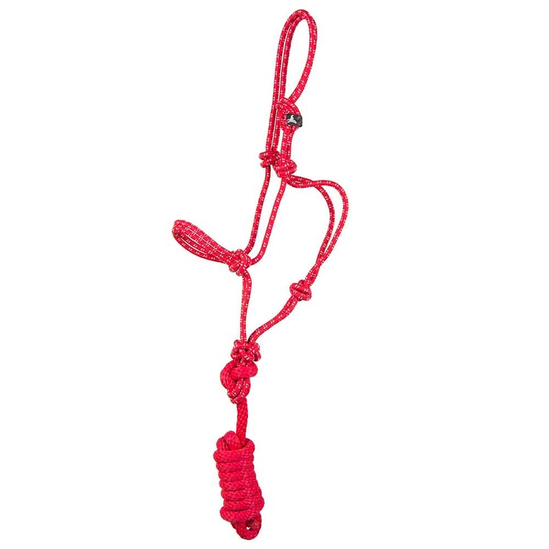 Mustang Foal and Yearling Rope Halter with Lead Black