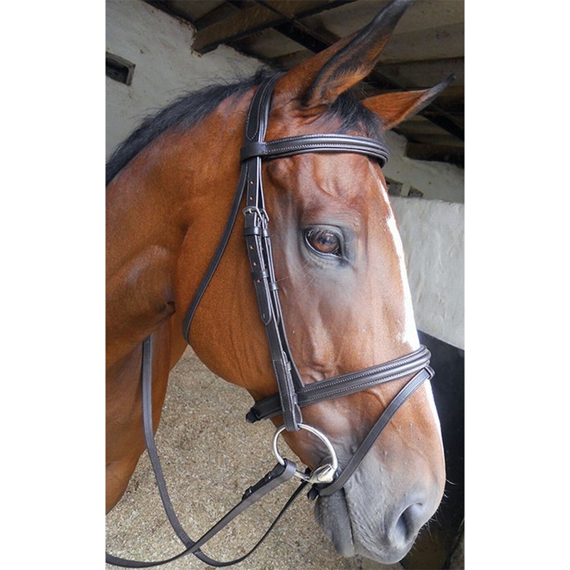 Bridle english padded poll