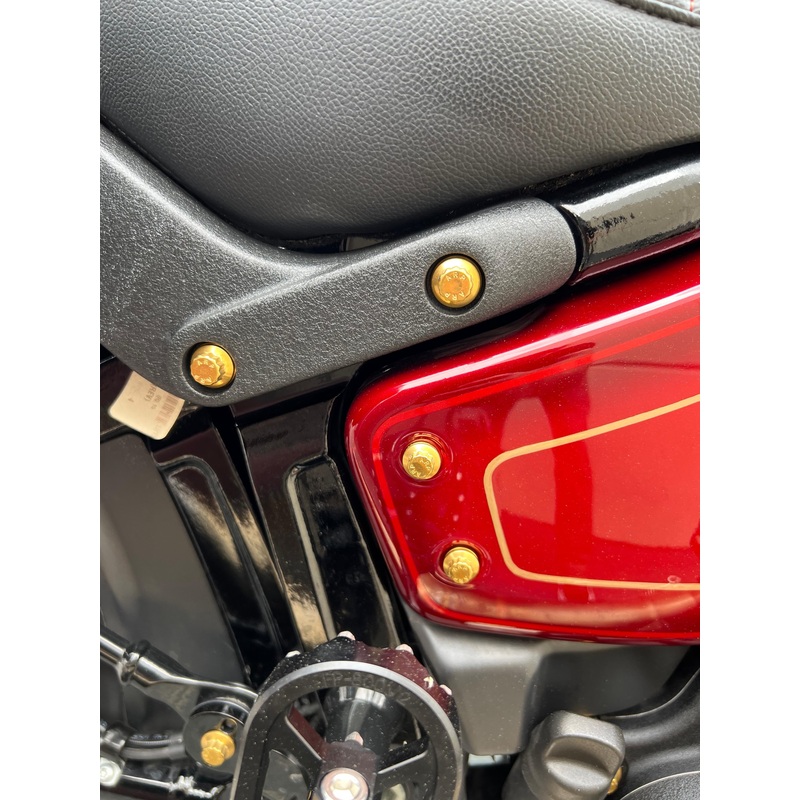 ARP 12 Point – HD M8 Softail Side Cover Bolts Show Polish