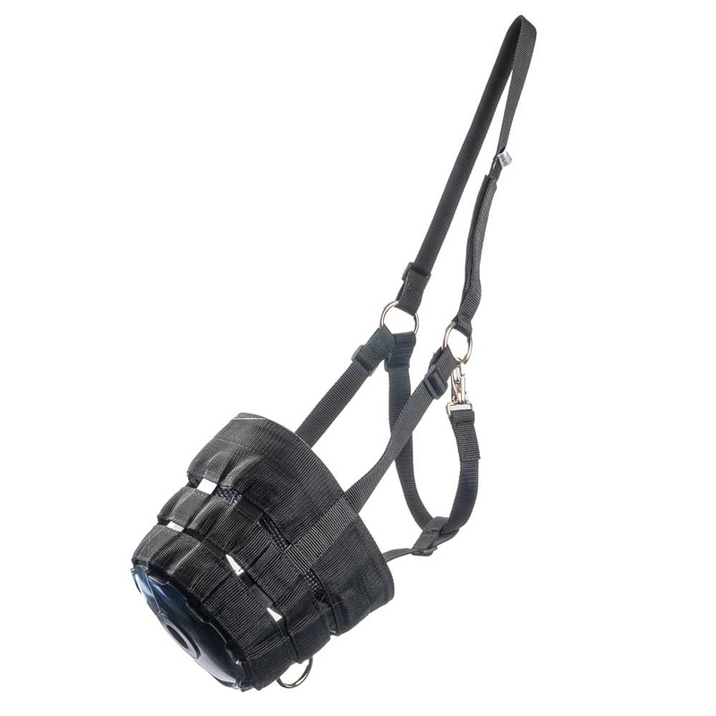 Horse Grazing Muzzle w/ Halter