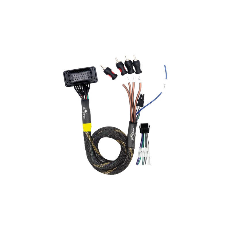 JBL RCA Output Harness | UTVS-JBL-RC-RCA-OUT