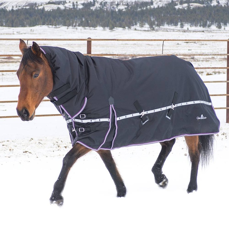 Classic Equine 10K Cross Trainer Hooded Winter Blanket Black