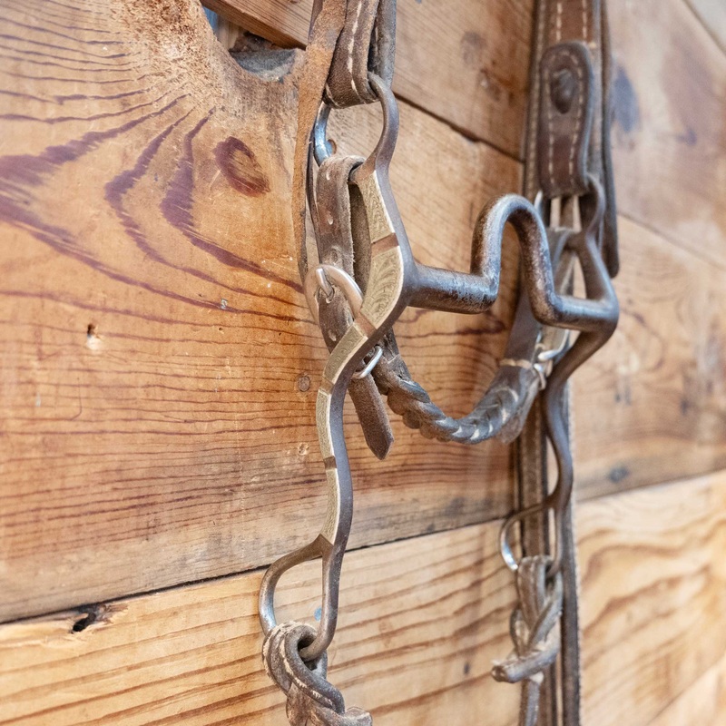 Matt Humphries Solid Port Bridle Rig