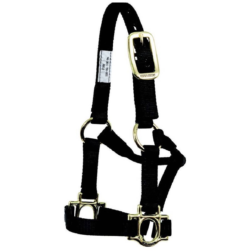 Mustang Triple-Ply Nylon Pony Halter