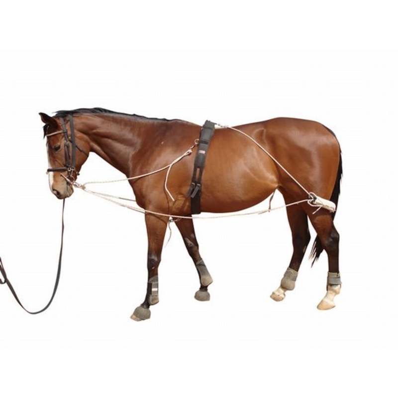 Training aid Capriole