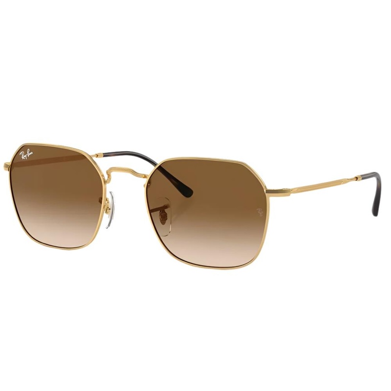 Ray-Ban Jim Sunglasses