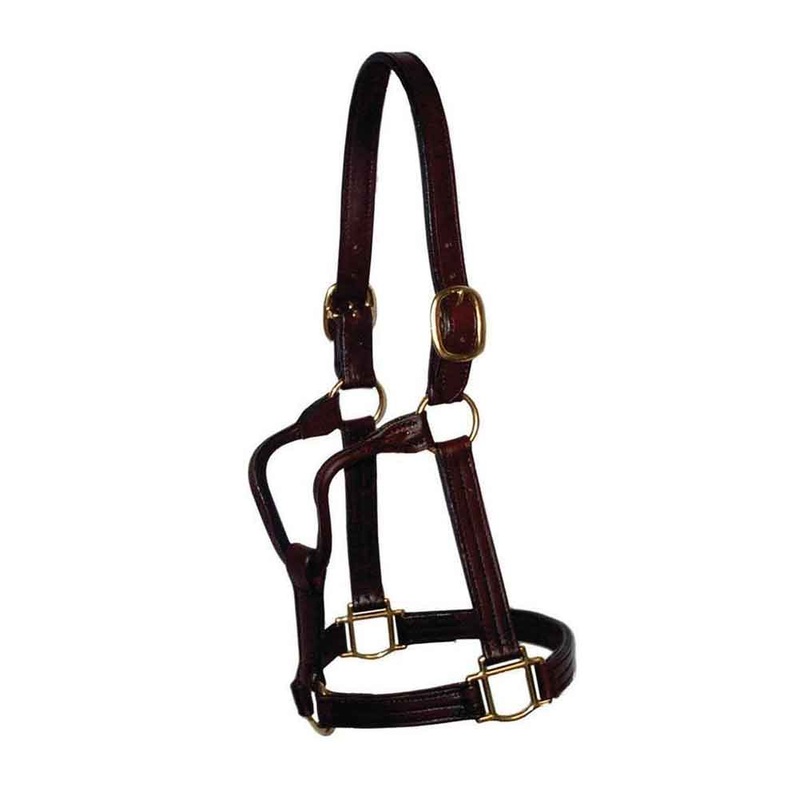 Teskey’s Triple Stitched Halter