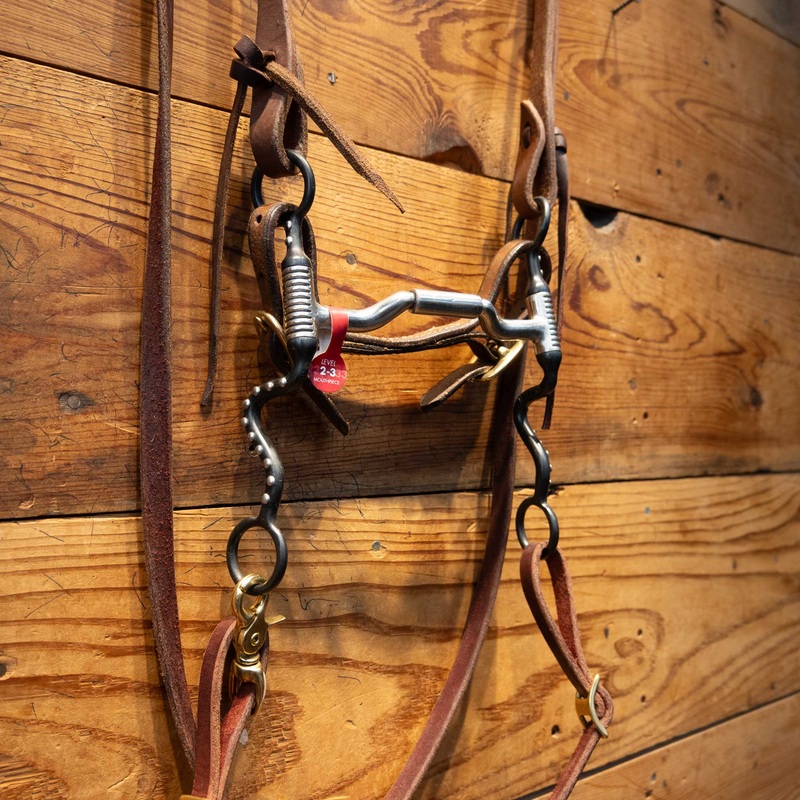 Toklat Myler Low Locking Hinge Bridle Rig