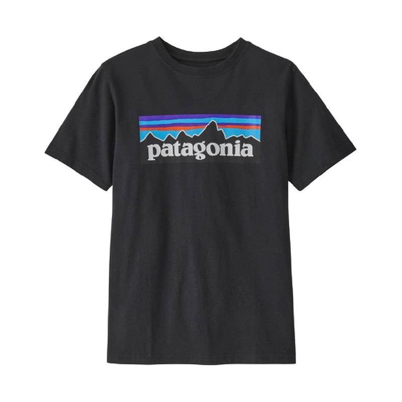 Patagonia Youth Organic P-6 Logo Tee
