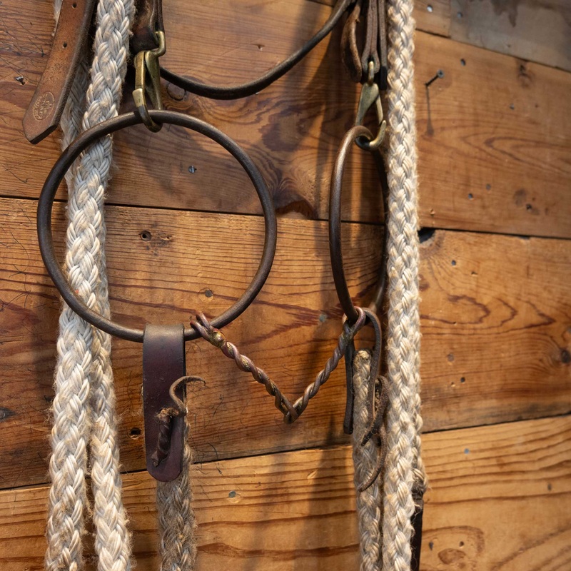 Large O-Ring Twisted Snaffle Bridle Rig