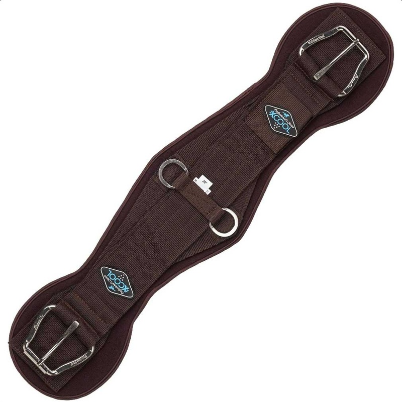Professional’s Choice 2XCool Cinch Black