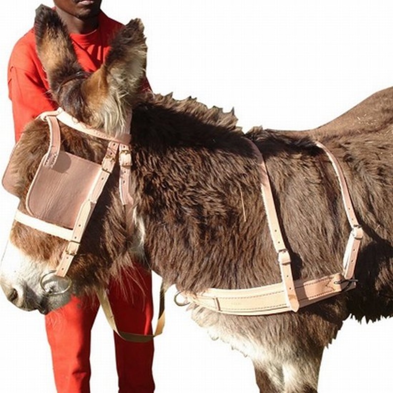 Bridle donkey leather + bit