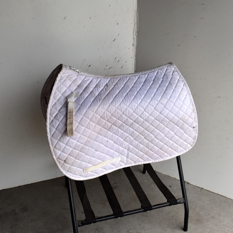 Used Tuff Rider English Saddle Pad