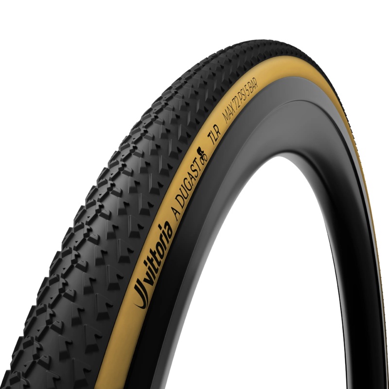 A Dugast Small Bird Tubeless-Ready