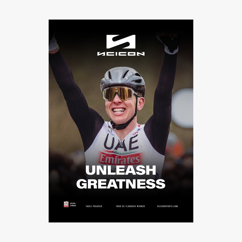 POSTER IN TESSUTO POGAAR FLANDERS 22