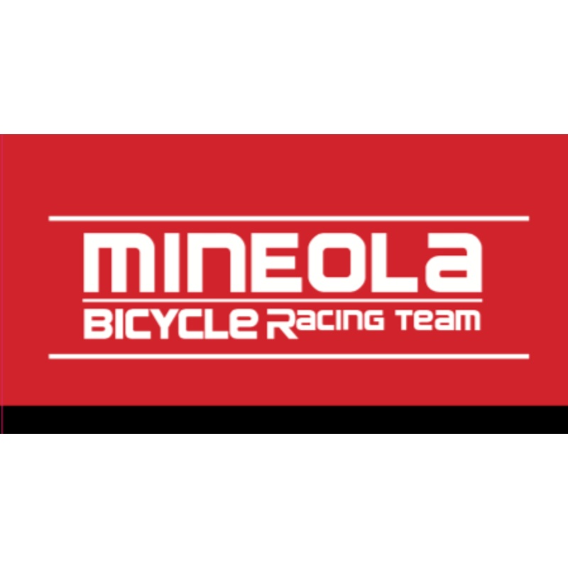 Mineola RACEDAY BAG – ships in about 3 weeks