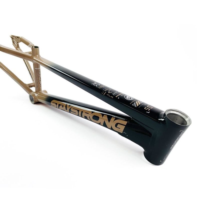 Stay Strong For Life 2024 V5 Expert Race Frame – Disc Frame Black and Tan