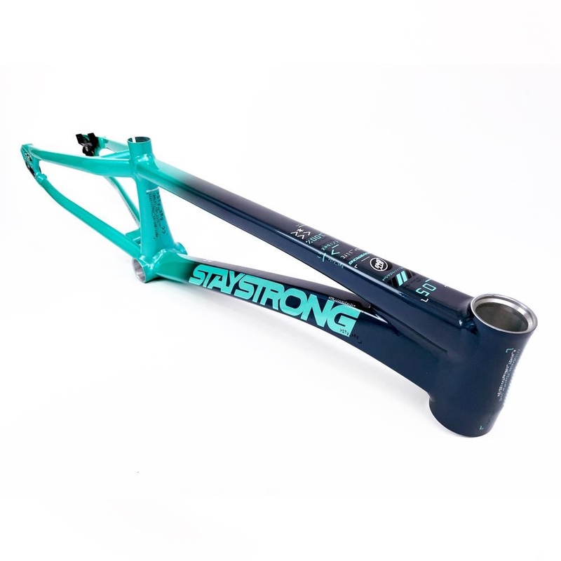 Stay Strong For Life 2024 V5 Pro XXXL Race Frame – Disc Version Charcoal and Mint
