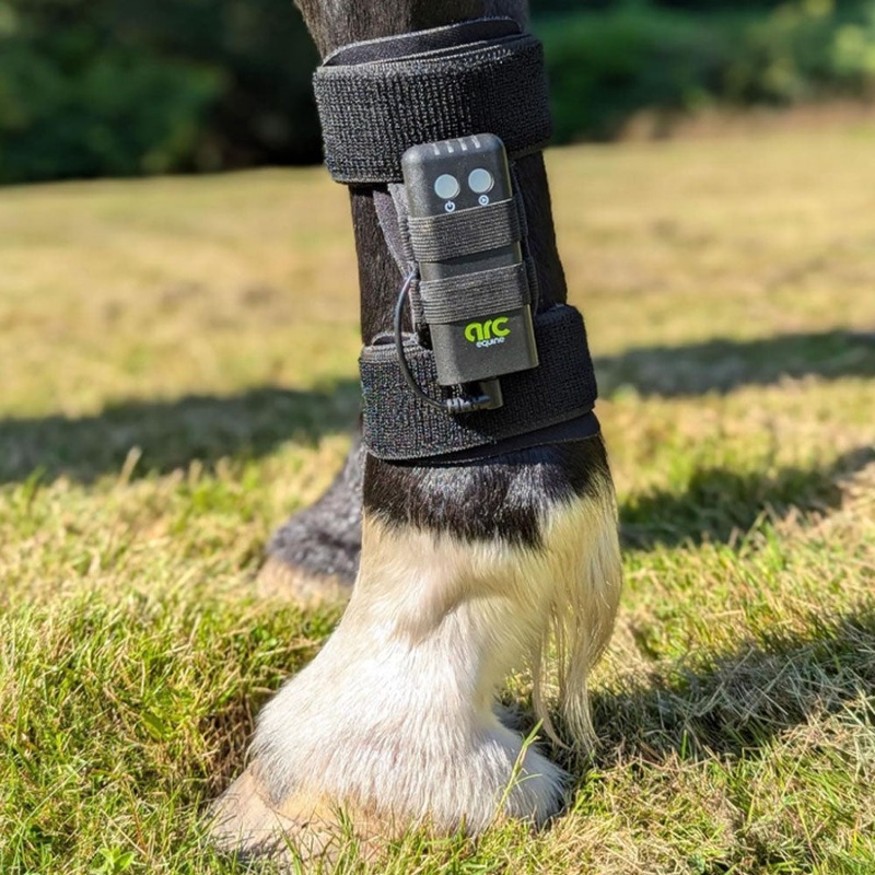 ArcEquine Complete Kit – Microcurrent Therapy Device