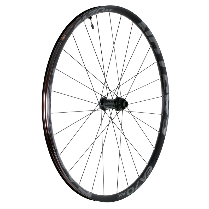 Easton EA70 AX Disc 650b F Wheel 9×100 QR+15×100 TA